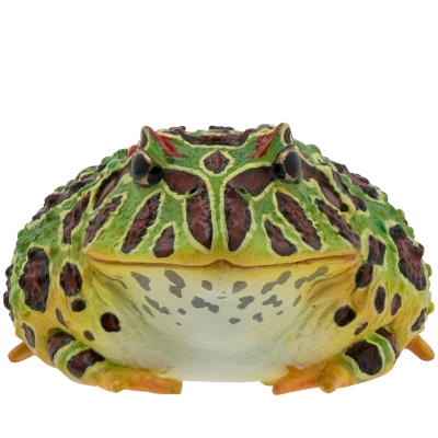 NTC MONO+ 六角恐龙与角蛙与红眼树蛙与番茄蛙 挂链&磁铁