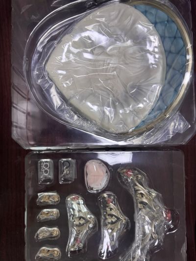 女仆教育 瑠璃川椿 特别版