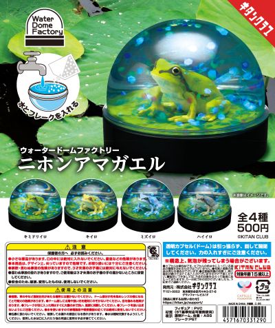 水穹顶工厂 日本雨蛙