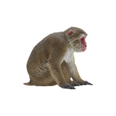 日本自然 日本的生物1