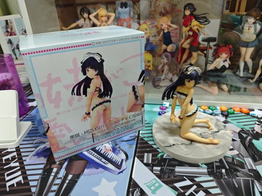 我的妹妹不可能那么可爱 黑猫 泳装