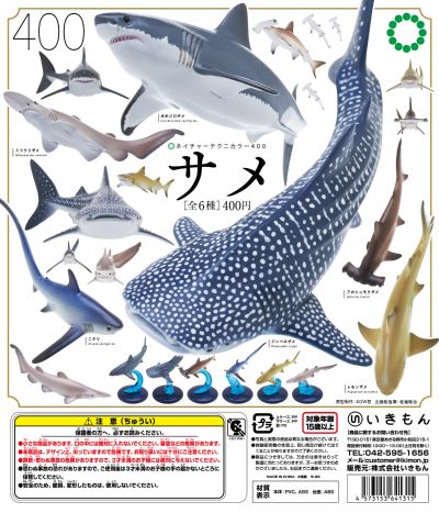 自然科技色彩-400 鲨鱼