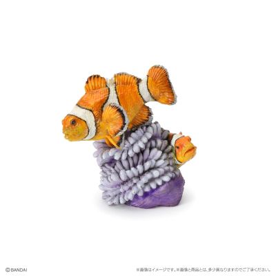 生物大图鉴迷你收藏系列 栖息在珊瑚礁的生物