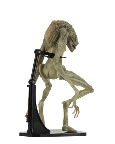 NECA 异形 7 英寸比例可动人偶豪华版 异形4:复活 新生儿（逆种）