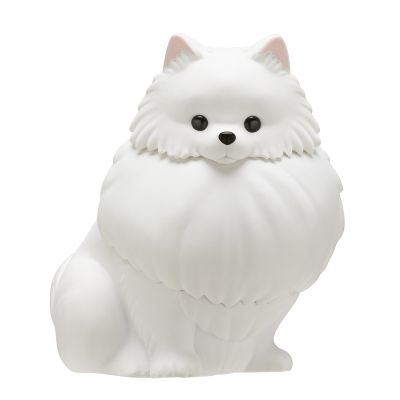 佩戴闪亮项圈 漫步的星光博美