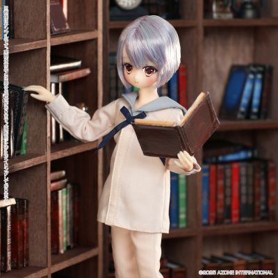 POD029-ANC Alvastaria 尼尔 ～休息和放松的时刻～配套玩偶套装(AZONE网上商店限定)