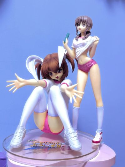 DreamTech Pia♥キャロットへ阳子そ!!3 爱沢友美 Gym Uniform Ver. (Pink Color) Limited 