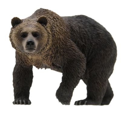 日本自然 日本的生物1