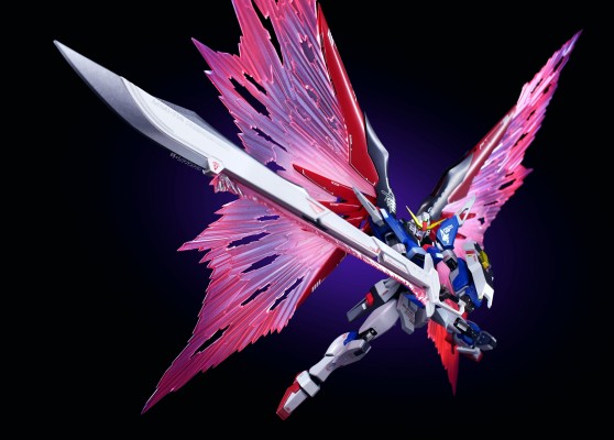 METAL ROBOT魂 ＜机动战士系列＞ 命运高达 [Re:Coordinate]