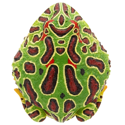 NTC MONO+ 六角恐龙与角蛙与红眼树蛙与番茄蛙 挂链&磁铁