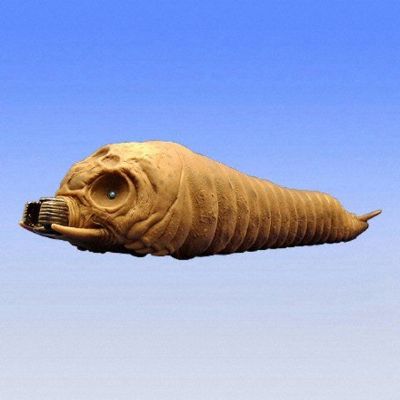 电影怪兽系列 摩斯拉幼体 2004年（2003）（雄性）