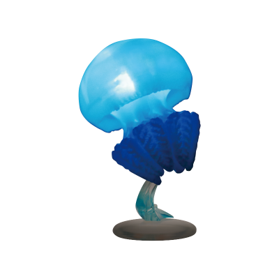 NTC 水母LED灯系列 2