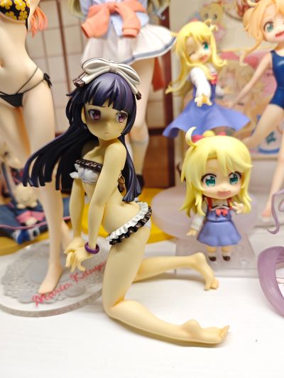 我的妹妹不可能那么可爱 黑猫 泳装