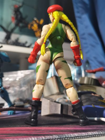 终极街霸2：最后的挑战者 嘉米·怀特