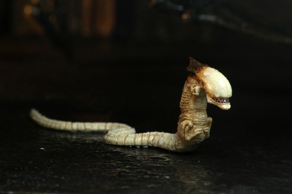 NACE 异形3-7英寸比例可动人偶——终极异形犬