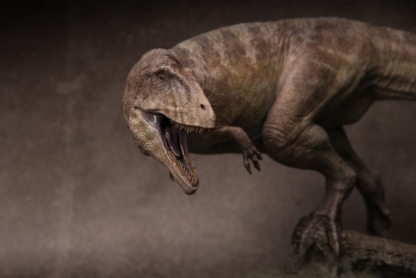 鲨齿龙 1996版 gk雕像