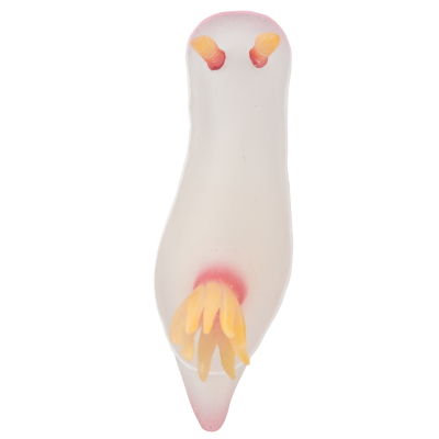 NTC MONO+ 海蛞蝓造型磁铁吸