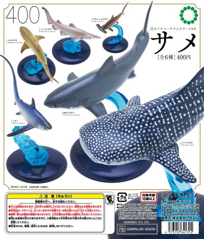 自然科技色彩-400 鲨鱼