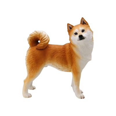 日本自然 日本的生物2