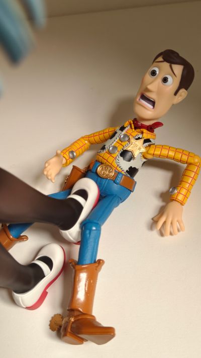 园田丽华 特别版