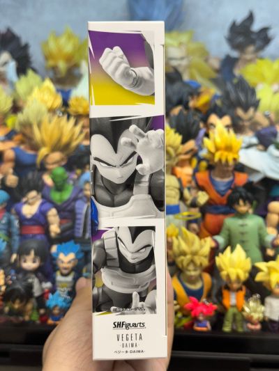 S.H.Figuarts 贝吉塔-龙珠大魔-