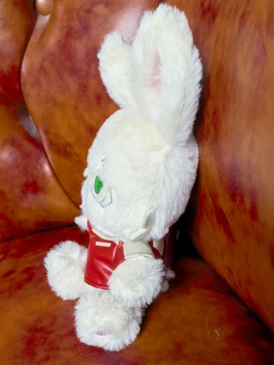 毛绒绒 虎兔英雄传2 巴纳比