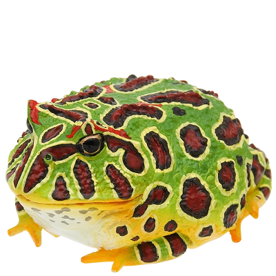 NTC MONO+ 六角恐龙与角蛙与红眼树蛙与番茄蛙 挂链&磁铁