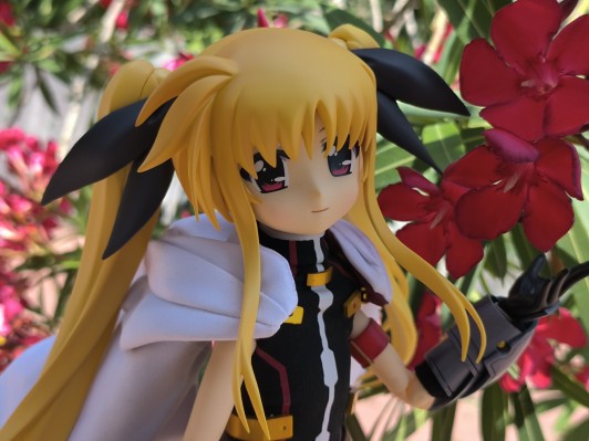 REAL ACTION HEROES No.661 RAH 菲特 ブレイズフォーム