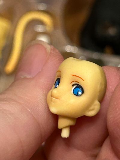 シュレディンガーの猫耳少女 西尔维娅・伊维凯の考察 