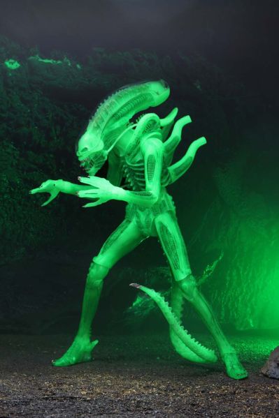 NECA 异形系列 - 夜光版 