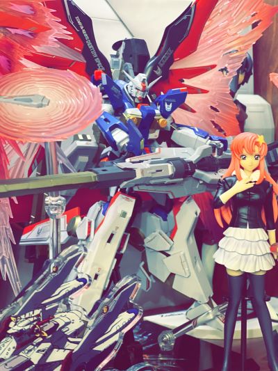 METAL ROBOT魂＜机动战士系列＞ 机动战士高达SEED FREEDOM 命运高达规格Ⅱ专用光翼+特效件套装