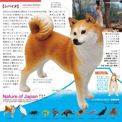 日本自然 日本的生物2