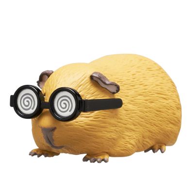 戴着太阳镜的荷兰猪