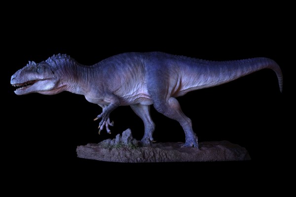 食蜥王龙2.0 （1:18比例）