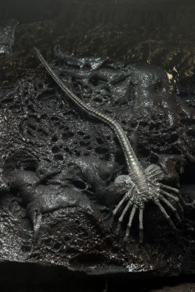 异形-40周年纪念系列第四弹 - 吉格尔原案（概念版）异形 7英寸可动人偶