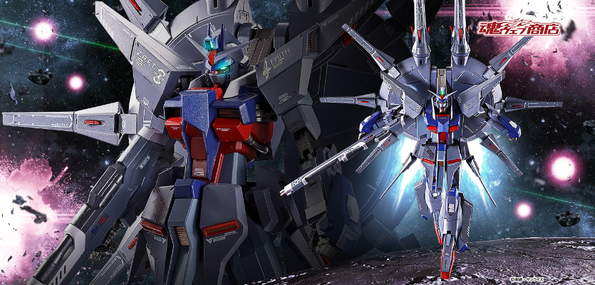 METAL ROBOT魂   ＜机动战士系列＞ 传说高达