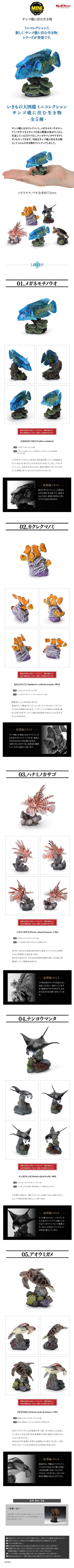 生物大图鉴迷你收藏系列 栖息在珊瑚礁的生物