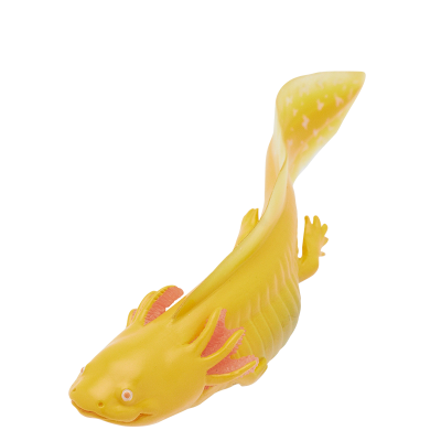 NTC MONO+ 六角恐龙与角蛙与红眼树蛙与番茄蛙 挂链&磁铁