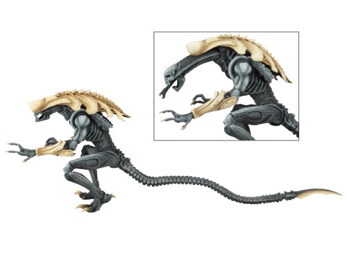 NECA - 异形大战铁血战士（街机版）- 7英寸比例可动人偶 - 蛹化异形