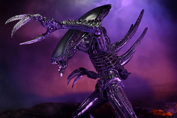 异形大战铁血战士 - 剃刀利爪异形 7 英寸可动人偶