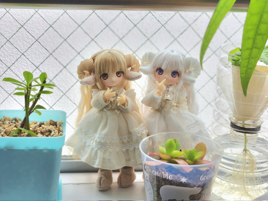 DIA002-MAN 迪亚斯 MUGUET×AkaiCamera 妮姆/～睡觉的小羊羔～ AZONE网上商店限定