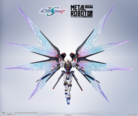 METAL ROBOT魂 ＜机动战士系列＞ 强袭自由高达［Re:Coordinate］专用光之翼与高速火力全开特效配件包