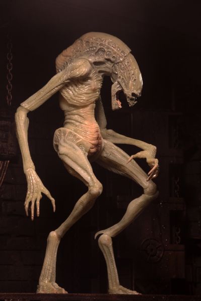 NECA 异形 7 英寸比例可动人偶豪华版 异形4:复活 新生儿（逆种）