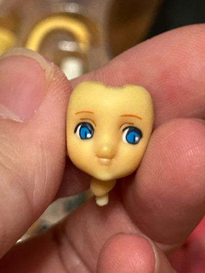 シュレディンガーの猫耳少女 西尔维娅・伊维凯の考察 