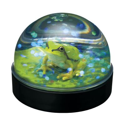 水穹顶工厂 日本雨蛙