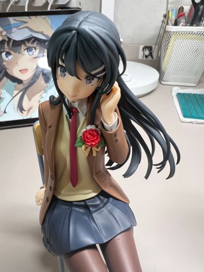 青春猪头少年不会梦到红书包女孩 樱岛麻衣 毕业