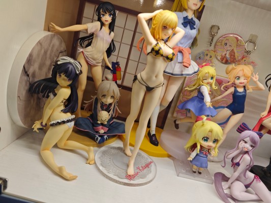 我的妹妹不可能那么可爱 黑猫 泳装