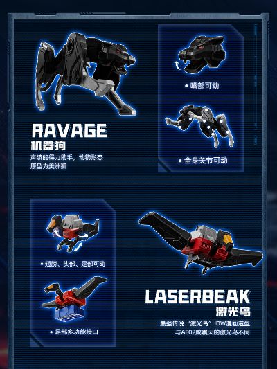 布鲁可变形金刚传奇版 声波