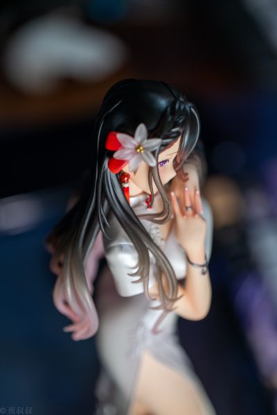 治愈系白色旗袍姐姐