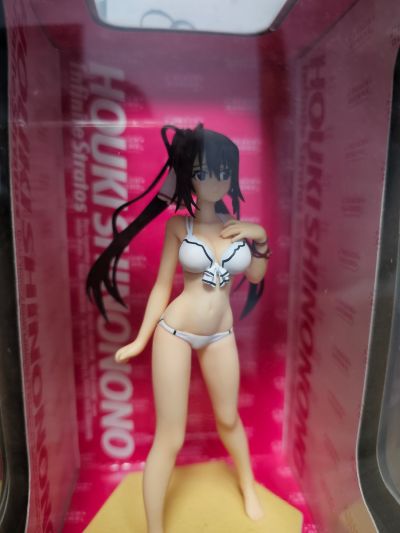 沙滩女王  IS〈无限斯特拉托斯〉 筱之之帚 泳装